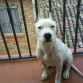 byron con poco mas de 4 meses